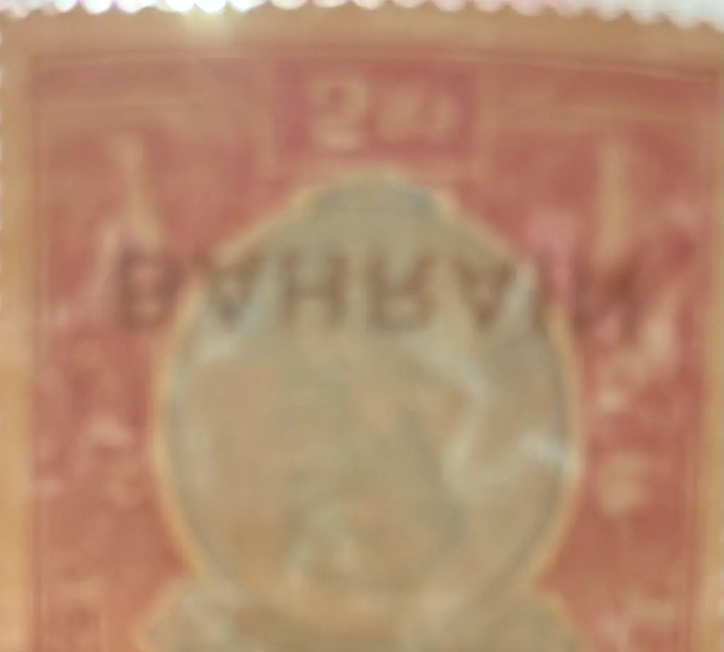 IMG_E2508.webp