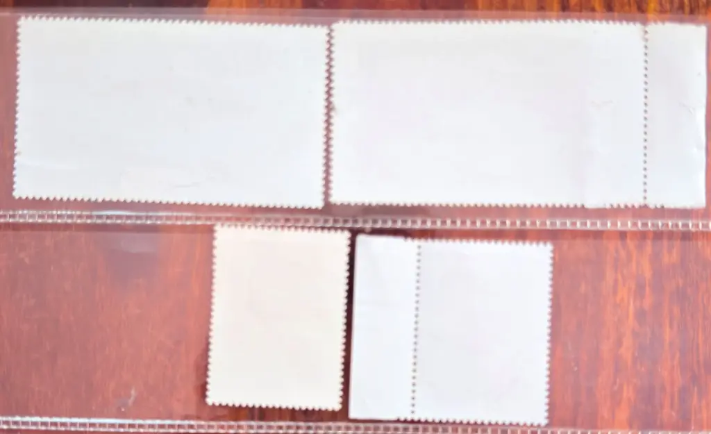 IMG_1805.webp