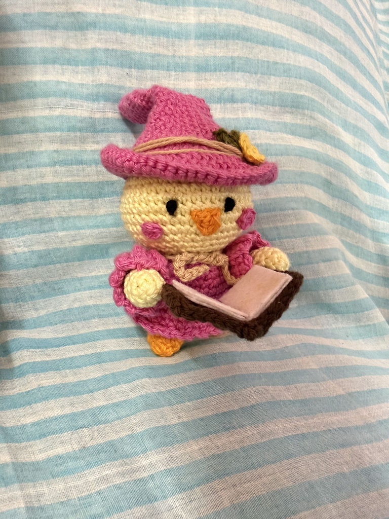 [SC-HW 1] Tiny Wizard Chick