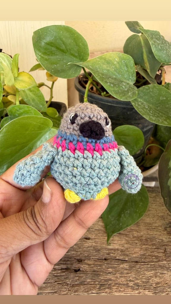 [AM CT 10] Rugged Pigeon
