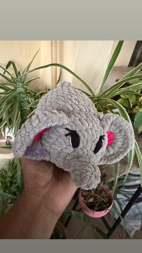 Momo the Elephant
