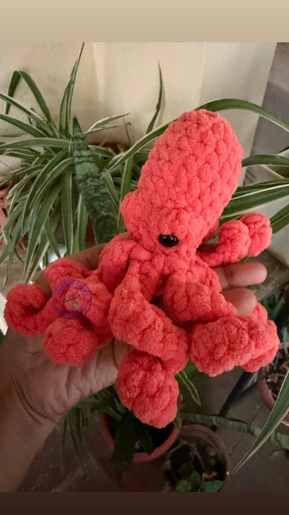 Piku the Octopus